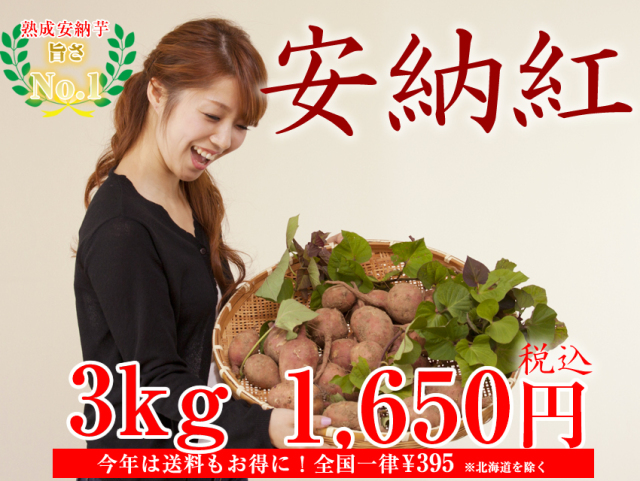 ねっとり甘い!種子島の安納芋(生芋20キロ):送料無料 ねっとり甘い!種子島の安納芋(生芋20キロ):送料無料