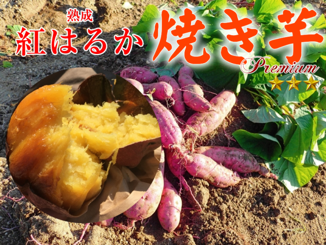 冷凍焼き芋　国産紅はるか500g～600ｇ×10袋（5kg）【冷凍便発送】【imo】