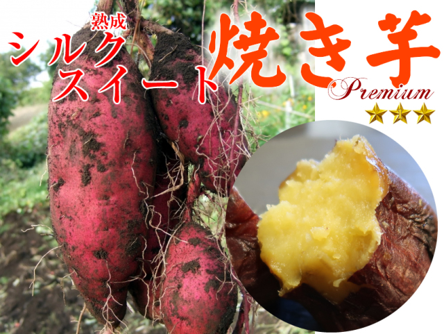 冷凍焼き芋　国産シルクスイート約350g×1袋【冷凍便発送】【imo】