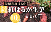 【紅はるか】島原産 生芋 10kg　しっとりあまーい！さつま芋