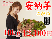 【安納こがね】生芋 10kg 本場種子島産