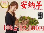 【安納紅】生芋 10kg 本場種子島産
