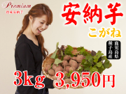 【安納こがね】生芋 3kg 本場種子島産