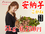 【安納こがね】生芋 5kg 本場種子島産