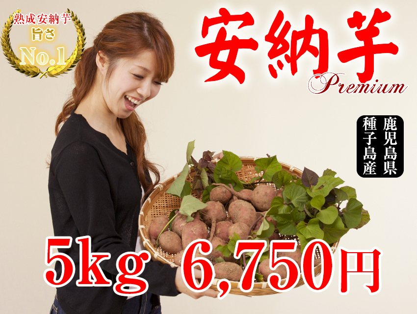 【安納芋】生芋 5kg 本場種子島産