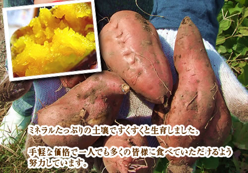 安納芋通販のゆうゆう通販
