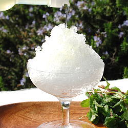 ゆずくん購入 XL リキュール リキュール かじゅ ゆず | 焼酎・リキュール | 酔鯨の商品