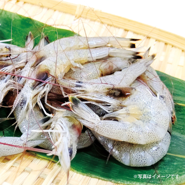 芝えび粕漬 スタンド