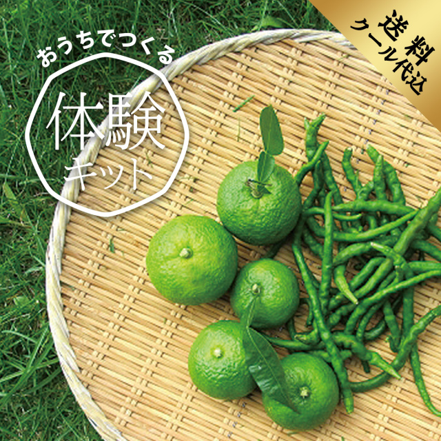 おうちでつくる「ゆずこしょう作り体験キット」