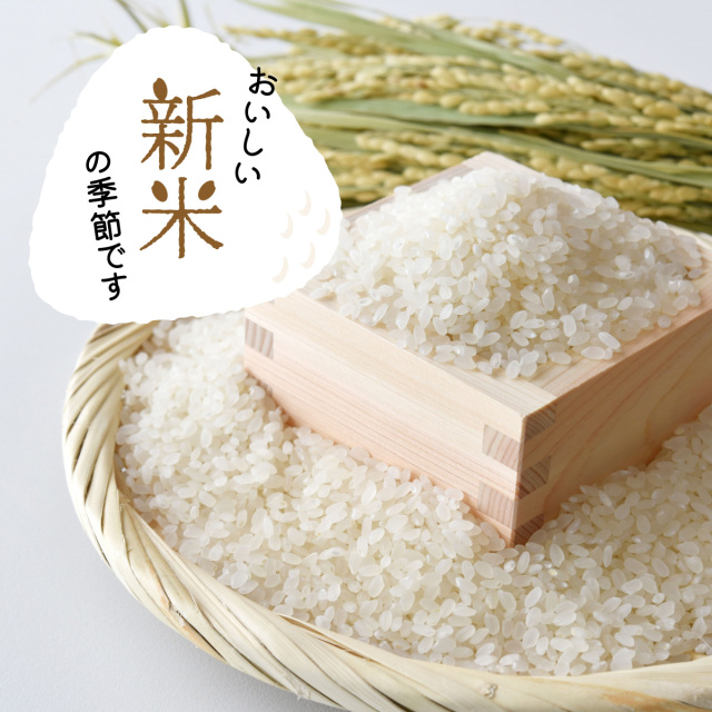 期間限定企画９月②