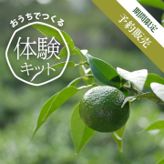 フレッシュゆず胡椒づくり体験キット
