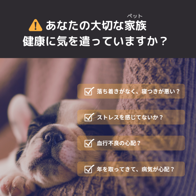Pemilyネックレス