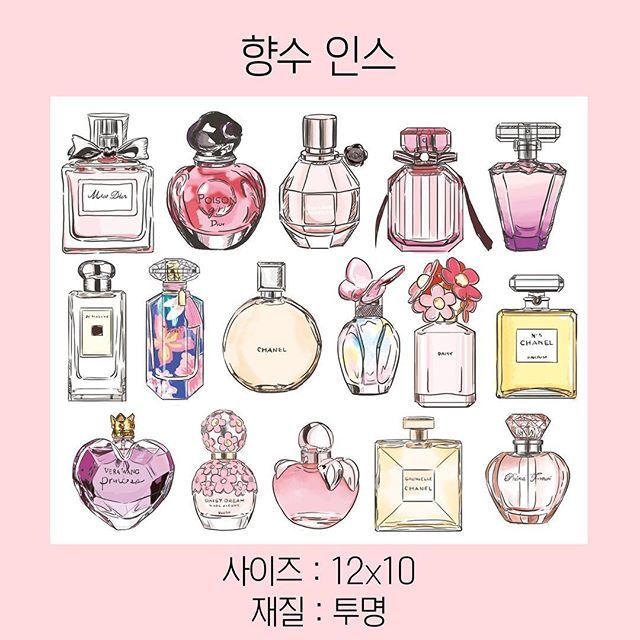 <数量限定販売> 再入荷なし スタバ柄・香水シールなど全7種類　sticker　ステッカー 紙もの 韓国　再入荷なし/7.香水（12cm*10cm）