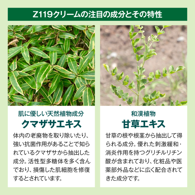 Z119クリーム,メンズコスメのザス