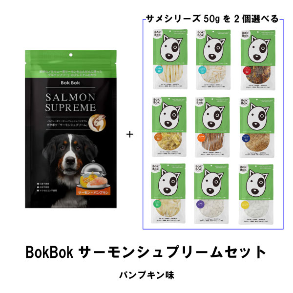 BokBok サーモンシュプリーム パンプキンセット