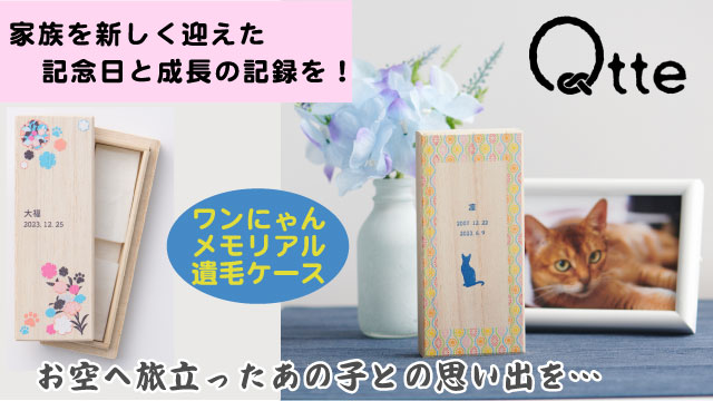 Zenpets】おしゃれな犬用首輪・グッズの通販専門店