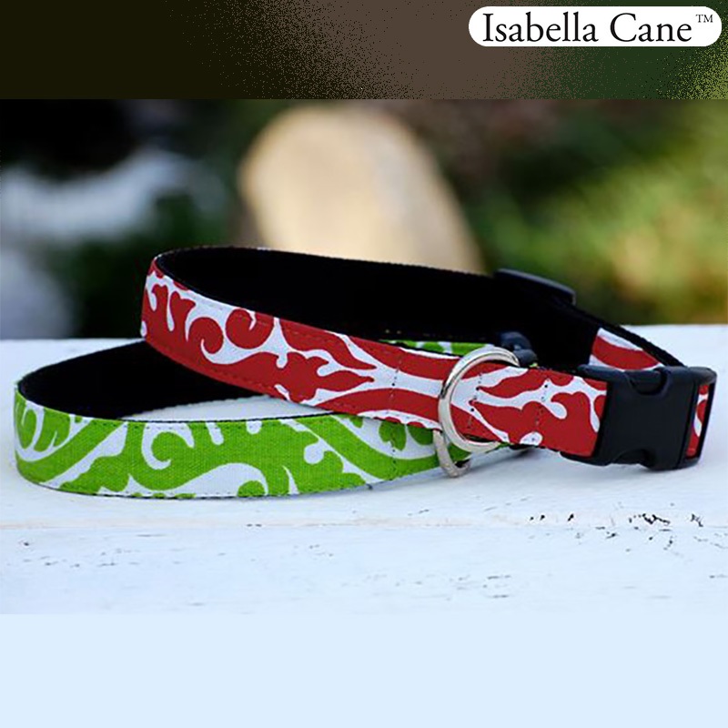 Isabella Cane Buddha 首輪