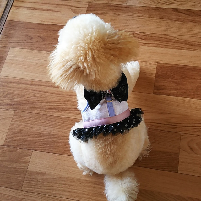 GLITTER POOCH ブラックダイヤモンド ハロちゃん