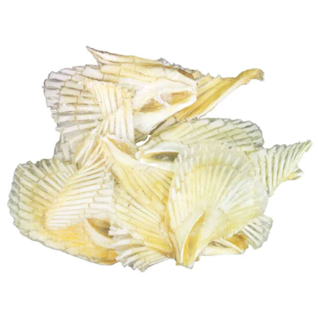 送料無料 おやつ 天然 サプリメント BokBok サメ軟骨 ウイング 50g まとめ購入割引対象