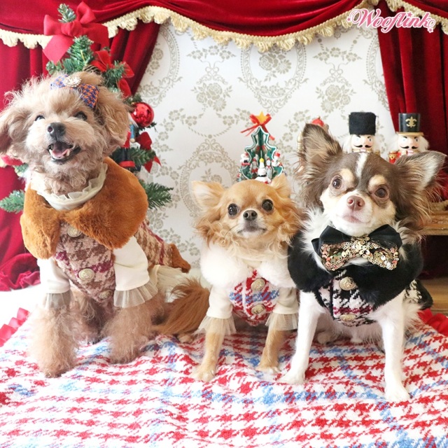 Wooflink Timeless Chic