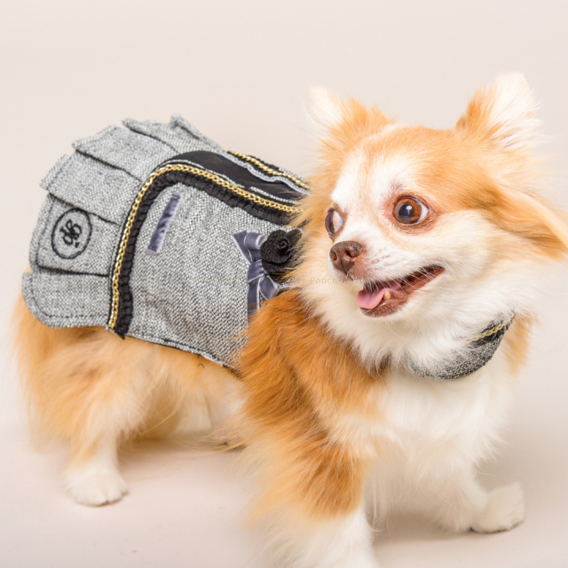 GLITTER POOCH グリッター・プーチ classy-coco-black