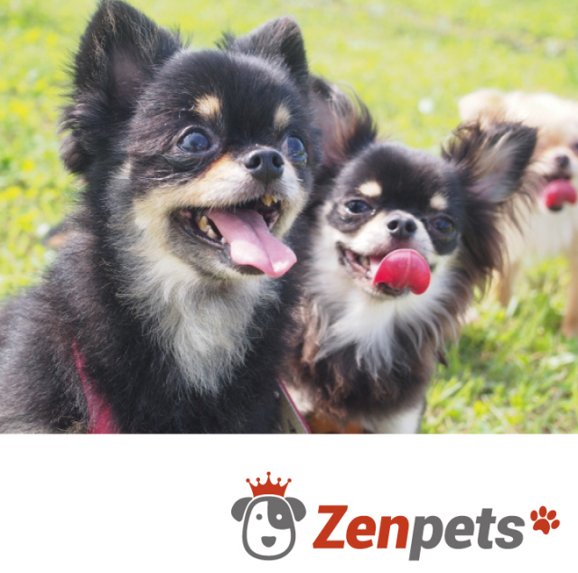 大切な命を守り、応援する心