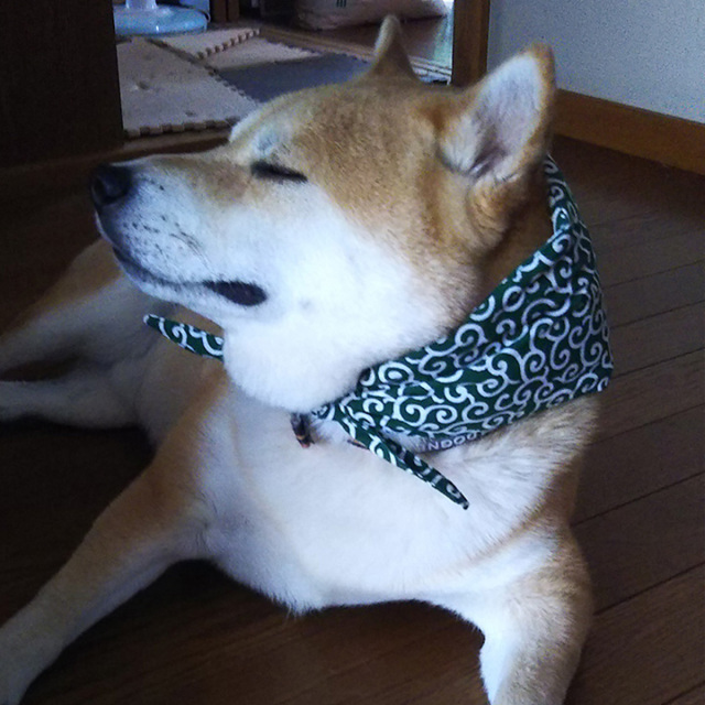 冷える　風呂敷包み　和柄　からくさ模様