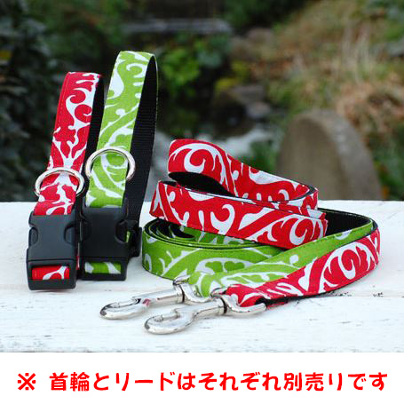 Isabella Cane Buddha イメージ