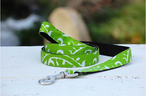 Isabella Cane Buddha リード②