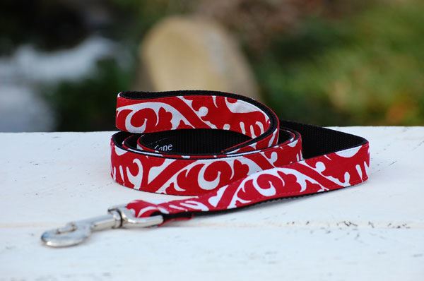 Isabella Cane Buddha リード③