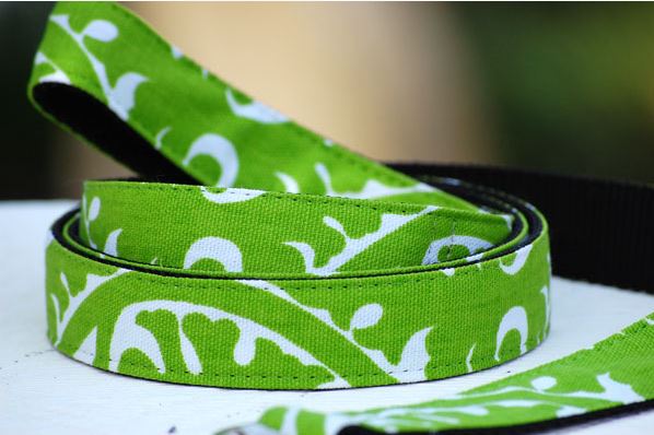 Isabella Cane Buddha リード④