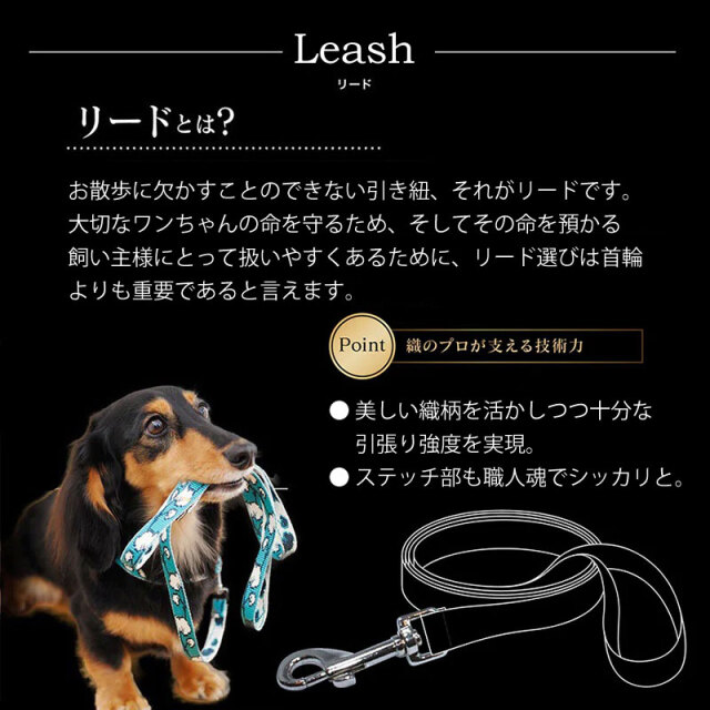 レ・マタン・コカン