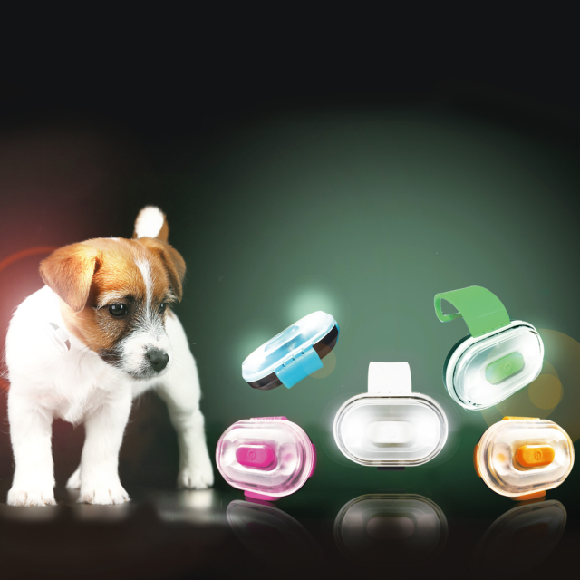 MAX & MOLLY MATRIX ULTRA LED 充電式 お散歩 ライト