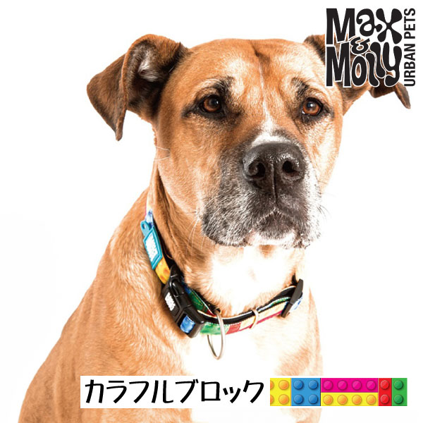 デジタル迷子札付き 首輪 カラー Max＆Molly Original Gear カラフル・ブロック QRコード