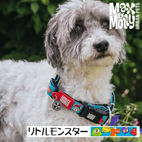 デジタル迷子札付き 首輪 カラー Max＆Molly Original Gear リトルモンスター QRコード