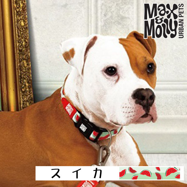 犬用 デジタル迷子札付き 首輪 カラー Max＆Molly Original Gear スイカ QRコード