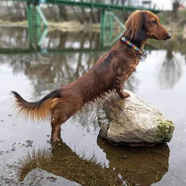 Max&Molly クレヨン