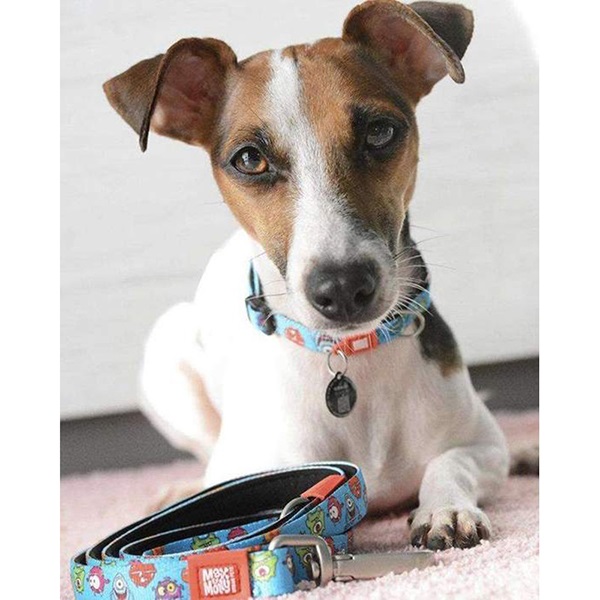 Max&Molly リトルモンスター