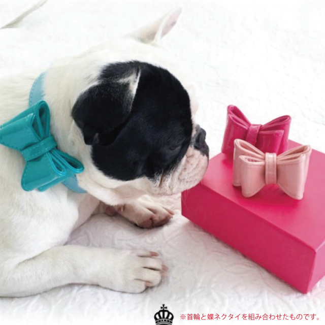 Night1 Pets ナイトワンペッツ 商品画像