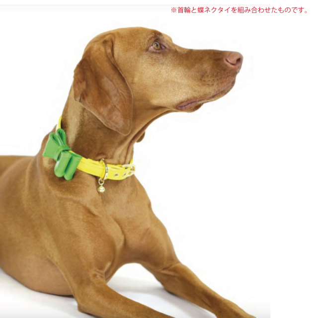 Night1 Pets ナイトワンペッツ 商品画像