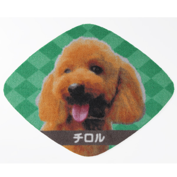 送料無料 Zenpets ペット フォトマット フルカラー プリント 写真
