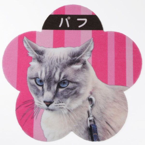 送料無料 Zenpets ペット フォトマット フルカラー プリント 写真