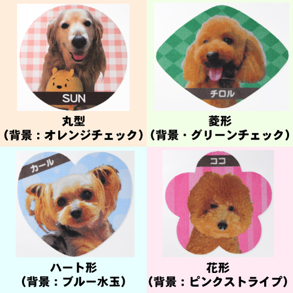 送料無料 Zenpets ペット フォトマット フルカラー プリント 写真