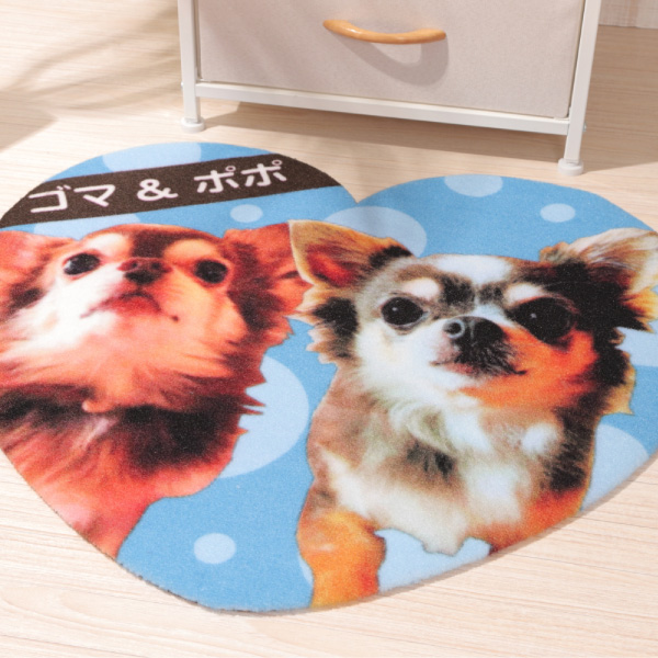 送料無料 Zenpets ペット フォトマット フルカラー プリント 写真