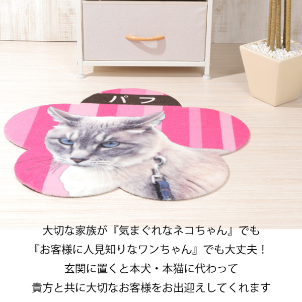 送料無料 Zenpets ペット フォトマット フルカラー プリント 写真