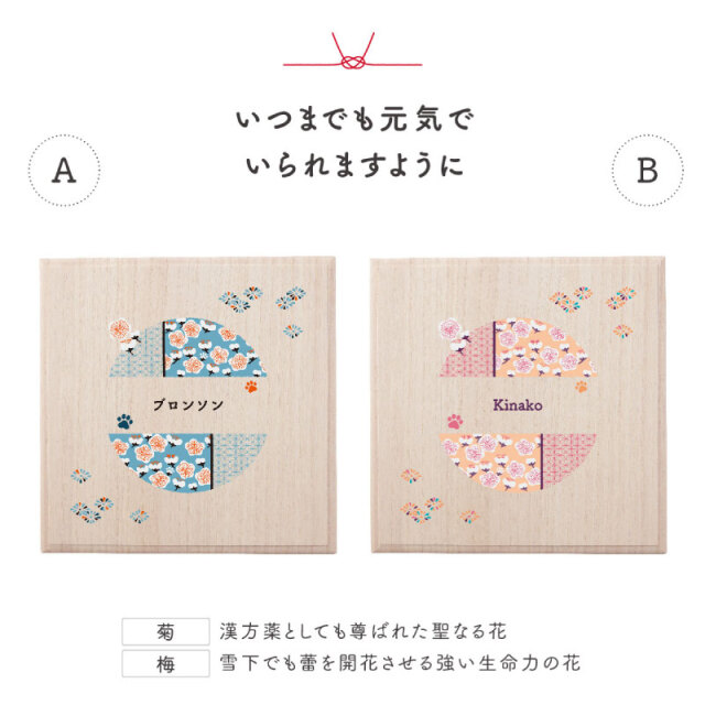 ワンにゃんおもいで入れセット Qtte 名前入り 犬用 猫用 ペット用 大切