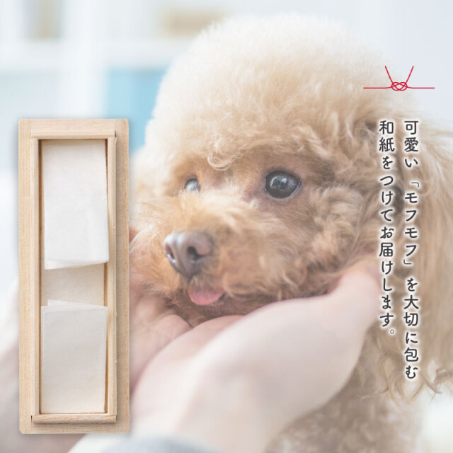 ワンにゃんモフモフ入れ Qtte 名前入り 犬用 猫用 大切な思い出