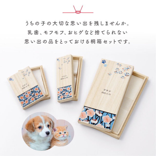 ワンにゃん桐箱3点セット Qtte 名前入り 犬用 猫用 ペット用 大切な