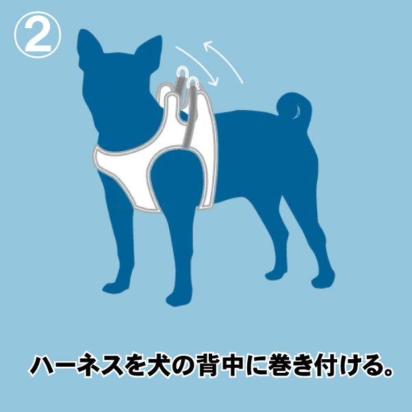 RC Pets Step in Cirqueハーネス