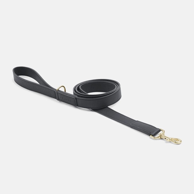 BY SCOUT Mela Basic リード